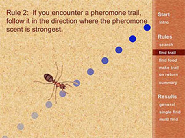 screenshot showing an ant responging to a pheromone trail