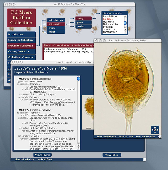 screenshot of multiple application windows including the general interface, a record entry for one species of rotifer and a high-resolution image of that rotifer