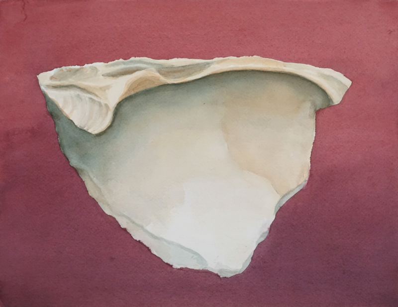 watercolor painting of a worn clam shell